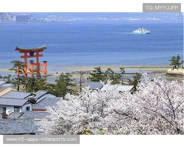 日本进入结构复杂的世界杯分组：机遇、挑战与商业新蓝海