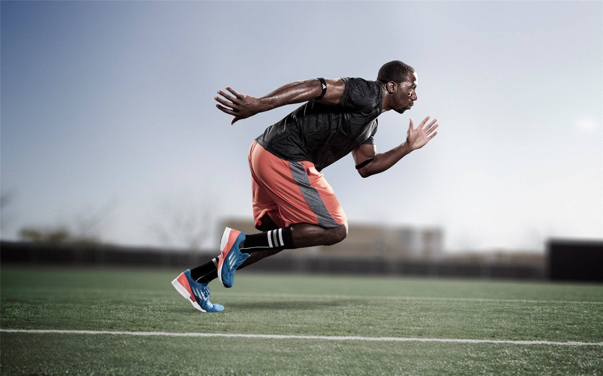 体育新闻中心协助高校共建数字体育实验教学基地,数字体育服务平台